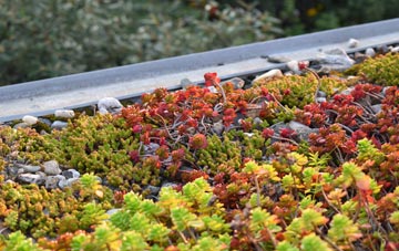 the cost of Warley Woods green roof installation