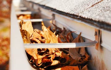 Warley Woods gutter cleaning companies