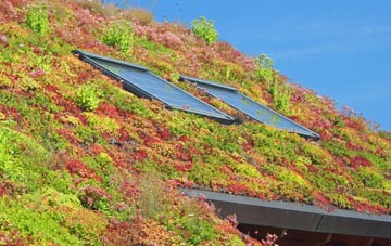 Warley Woods living roof systems
