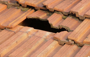roof repair Warley Woods, West Midlands